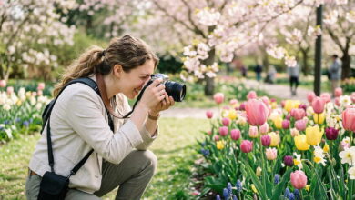 Blumenfotografie