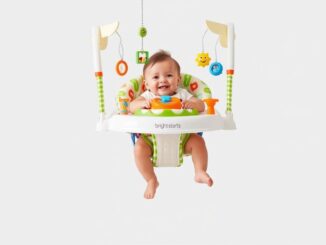 bright-starts-deluxe-tuerhopser