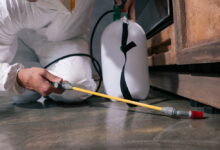 schaedlingsbekaempfung