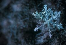 Wie wir im Winter 2025 zu Alltags-Helden werden 10 Winteralltag mit Schnee und Kälteschutz