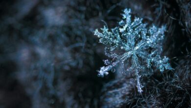 Winteralltag mit Schnee und Kälteschutz